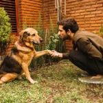 Leash CodeHS Answers