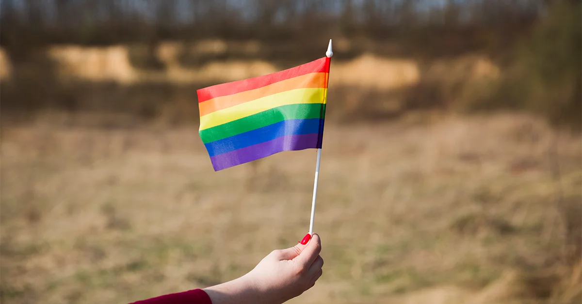 Two Colour Flag